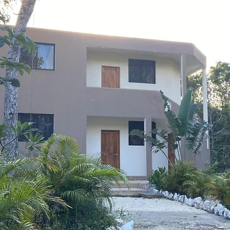 Santuario Jungle