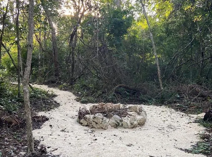 Santuario Jungle *