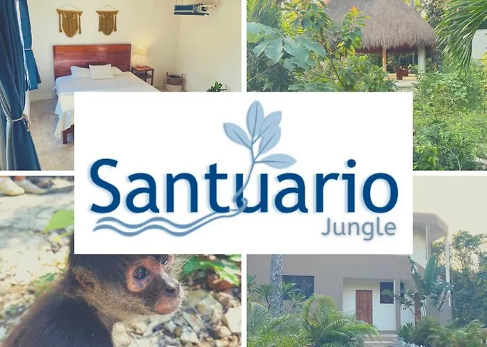 Aparthotel Santuario Jungle