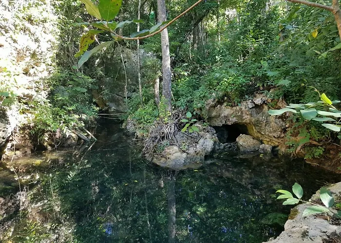 Santuario Jungle Aparthotel *